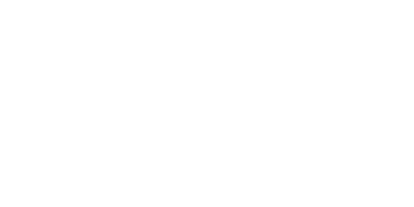 에이스넷 logo
